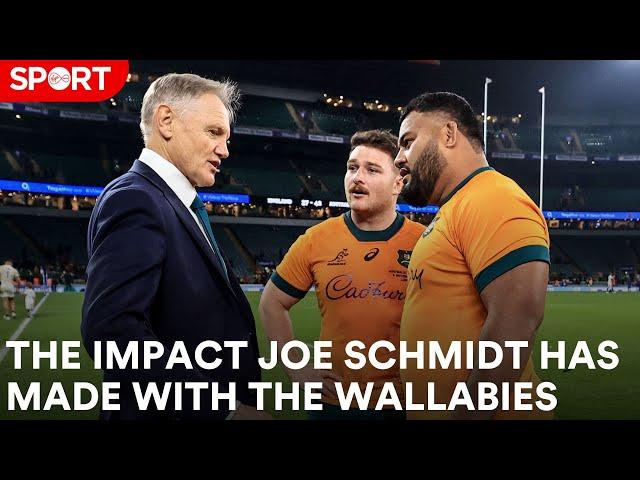 How Australia are reacting to Joe Schmidt and his legacy in Ireland