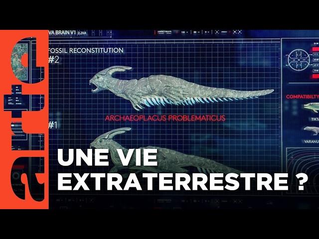 À la recherche d'une vie extraterrestre | L'odyssée interstellaire (3/4) | ARTE