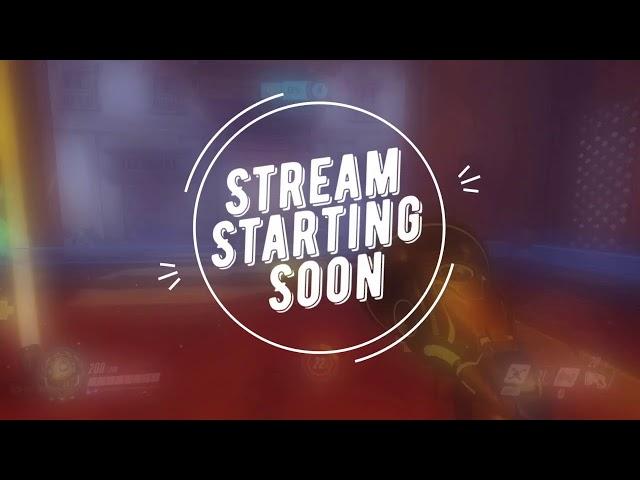 Evan Wills Live Stream