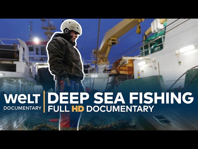 DEEP SEA FISHING - Hard Work On The High Seas | Full Documentary