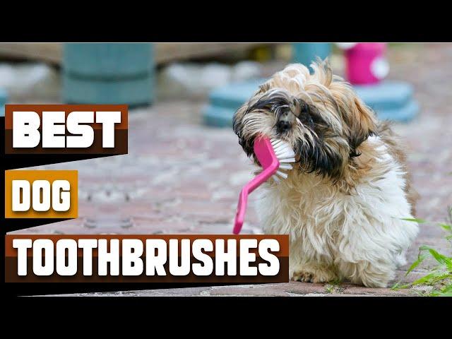 Best Dog Toothbrushes In 2024 - Top 10 Dog Toothbrushes Review