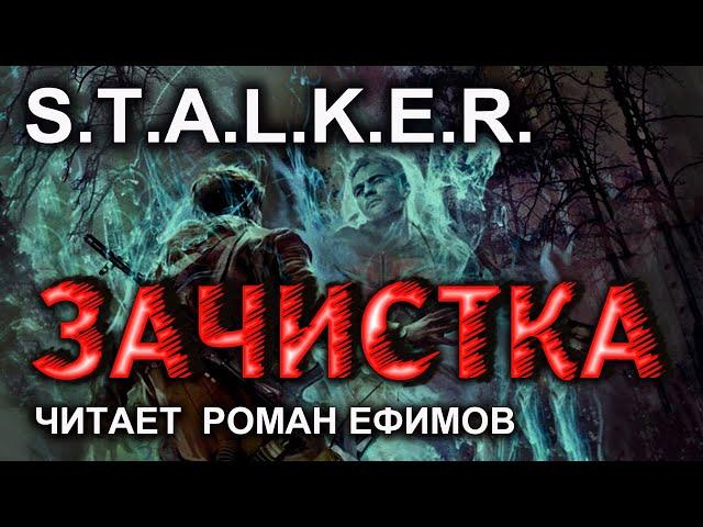 S.T.A.L.K.E.R. Зачистка (аудиокнига). Алексей Гравицкий.