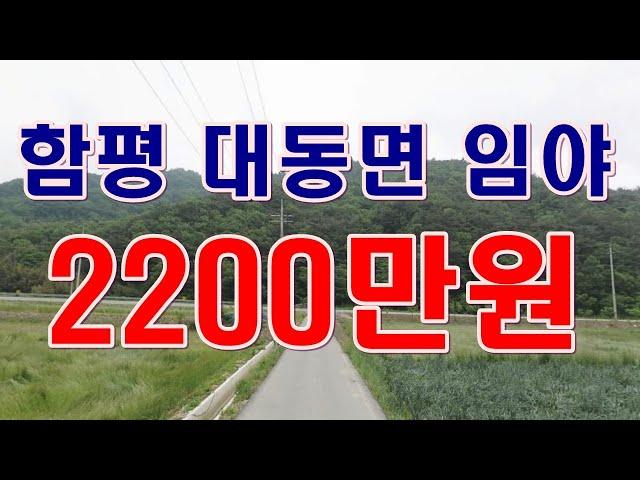 [부동산 경매물건] 전남 함평군 대동면 용성리 임야