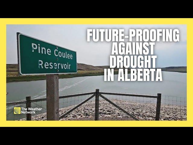 Poor Drought Outlook in S. Alberta Has Some Taking Action