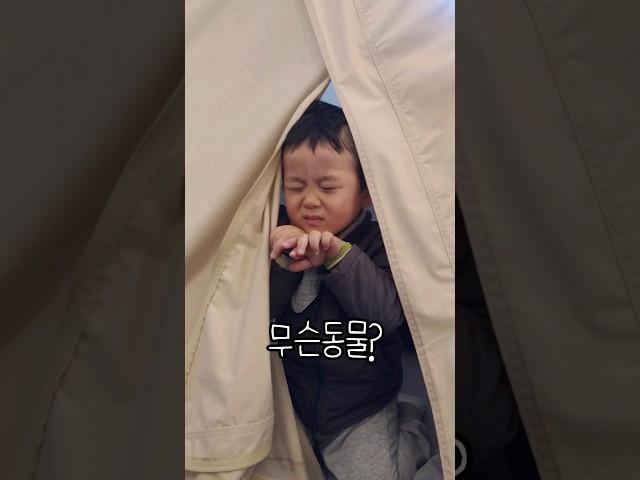 무슨 동물일까요 #30개월아기 #나는문어