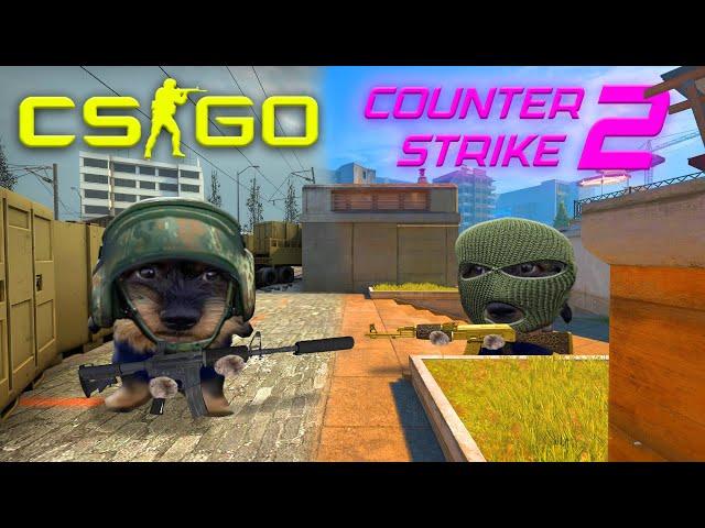 CS:GO vs. CS2