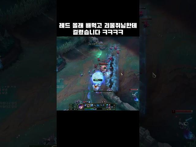괴물쥐님을 만났습니다..