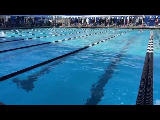 LQHS Girls Water Polo hosting Palm Springs 12/17/24