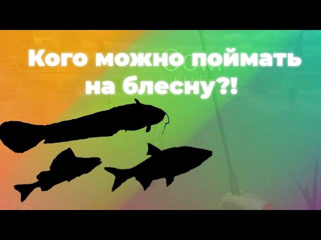 СОМ и ЯЗЬ на Эльбе!!! | Ultimate Fishing Simulator | Гамбург, Эльба