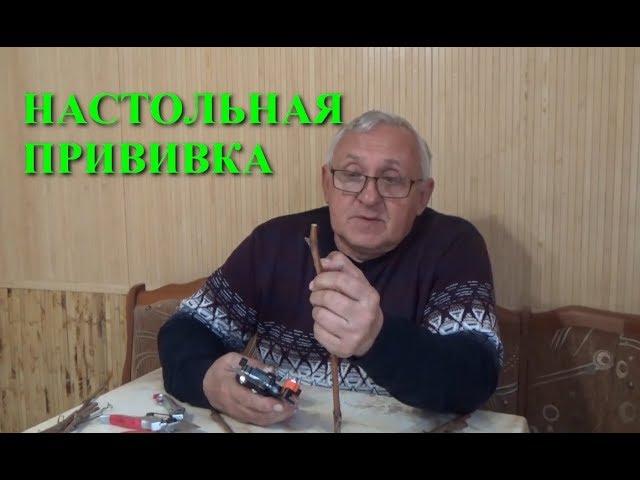 Как делать настольные прививки винограда www.vinograd-kriulya.com