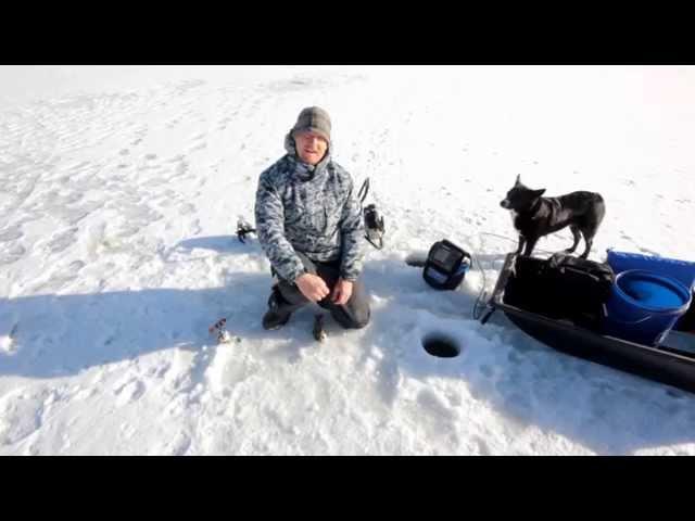 Ice fishing on Lake Dillon with Alpine Fishing Adventures