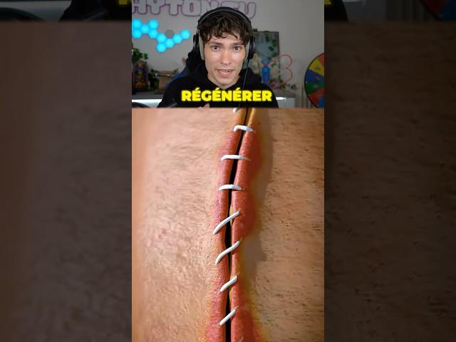 Le Secret Des Humains !