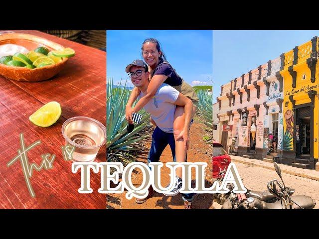 TEQUILA, JALISCO VLOG! (tour, tequila tasting, food)