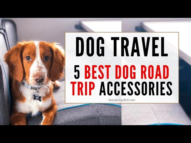 Dog Travel Essentials: 5 best road trip accessories for motorhomes, campervans, RV & cars