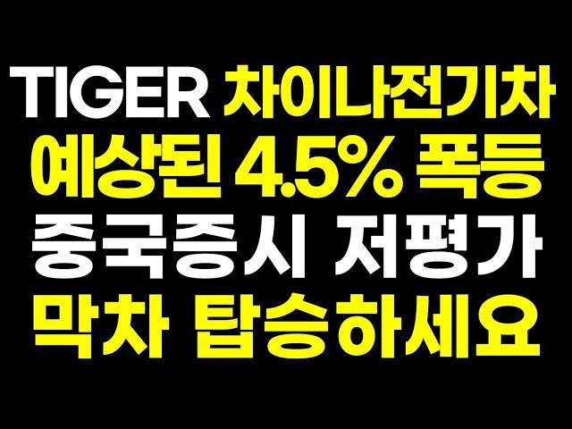 차이나전기차 중국 증시 폭등한다고 수차례 말씀드리고 저점 매수하고 있습니다 중국 전기차 1위( 미국주식 TQQQ SOXL 2차전지 ETF SCHD BYD LFP배터리 서대리TV )