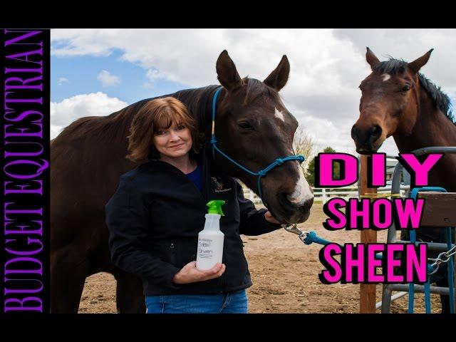 DIY Equine Coat Conditioner and Shine