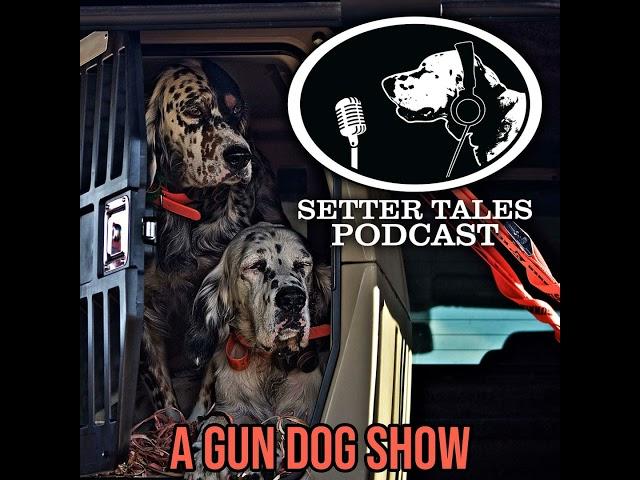 MEMORIES FROM THE FIELD with Ed Laneville | Setter Tales Podcast