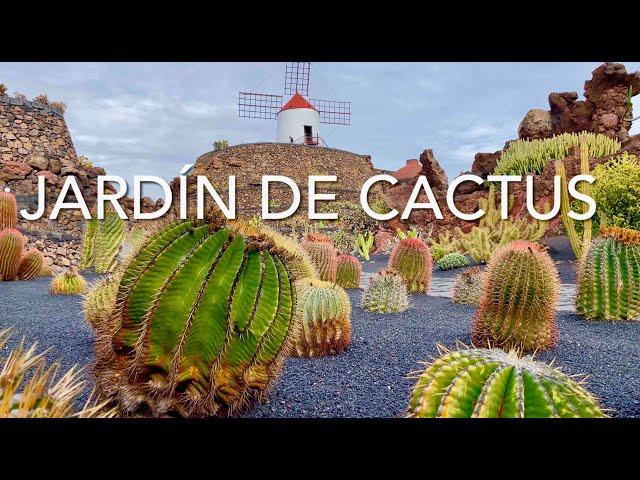 Jardin de Cactus, Lanzarote (4K)