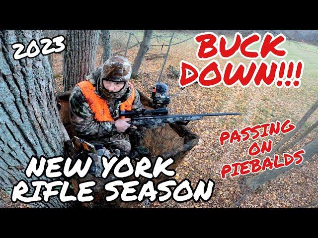 BUCK DOWN!!!  New York Rifle Season 2023