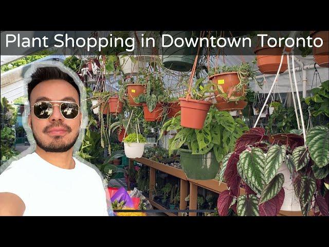 Plant Shopping at Corner Convenience Stores | Houseplant Vlog