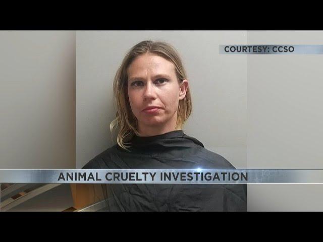 Hereford woman facing 40 felony counts of animal cruelty after leaving several dogs in a trailer