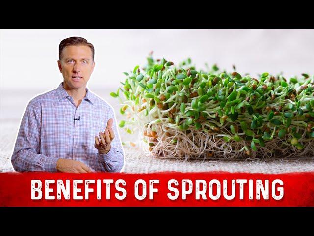 Nutritional Benefits of Sprouts Explained By Dr. Berg