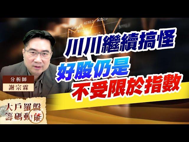 川川繼續搞怪好股仍是不受限於指數 ｜大戶羅盤籌碼動能 ｜謝宗霖