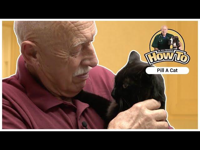 Dr. Pol Presents - How To Give a Cat a Pill