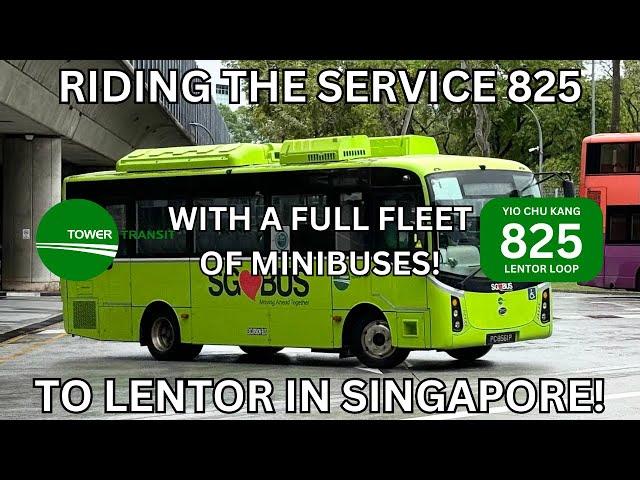 I've tried Service 825 with a full fleet of minibuses...