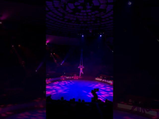 VERY CRAZY PERFORMANCE AT THE CIRCUS
