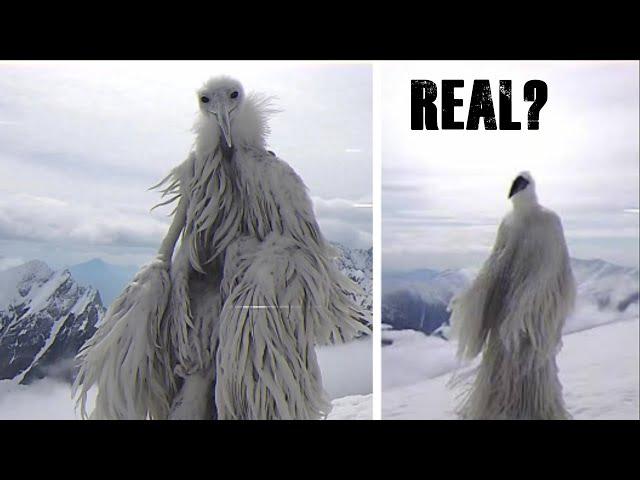 WEIRD ANIMALS THAT WENT VIRAL