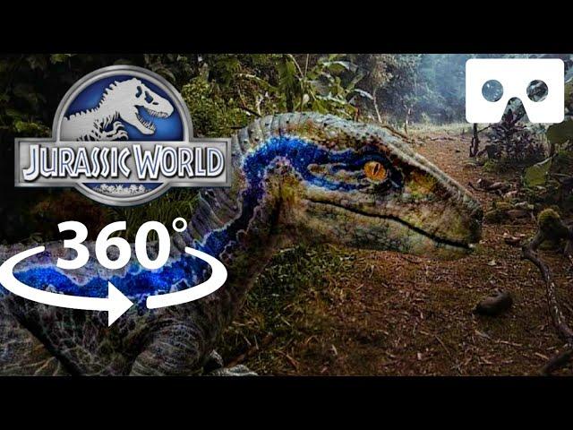 360° 3D Jurassic World | Blue VR | Jurassic Park Dinosaurs