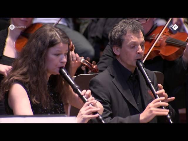 J.S. Bach: Brandenburgs Concert nr. 4 - Hofkapelle München - Live concert HD