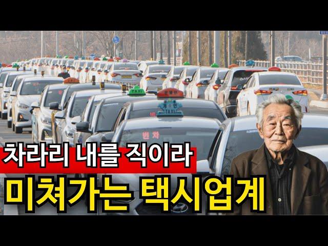 80대 흉기 택시기사 수두룩 | 번호판 '2억' 미쳐 돌아간다