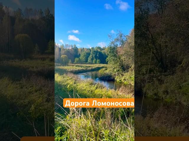 Маркировка экотропы «Дорога в усадьбу Ломоносова» в #ЛО #туризм #путешествие #поход