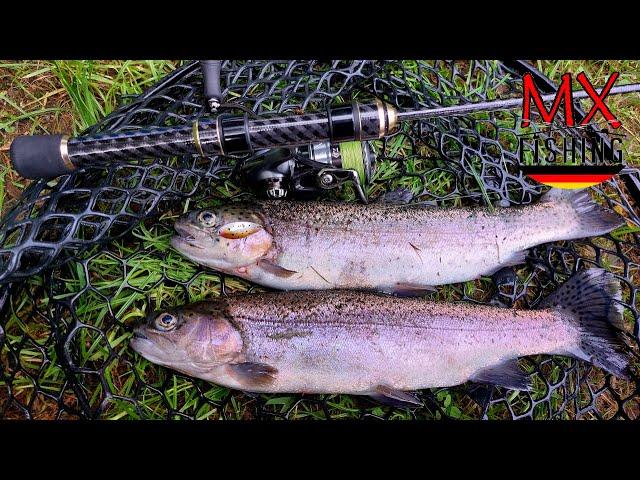 Ein harter Start in die Herbstsaison/Forellen fischen mit Kunstködern/ Trout Area/ UL Fischen