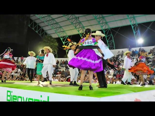 EL QUERREQUE en el concurso nacional de baile de huapango de Tamazunchale SLP 2023 | HUASTECA