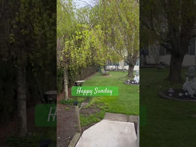 Happy Sunday  #song #music