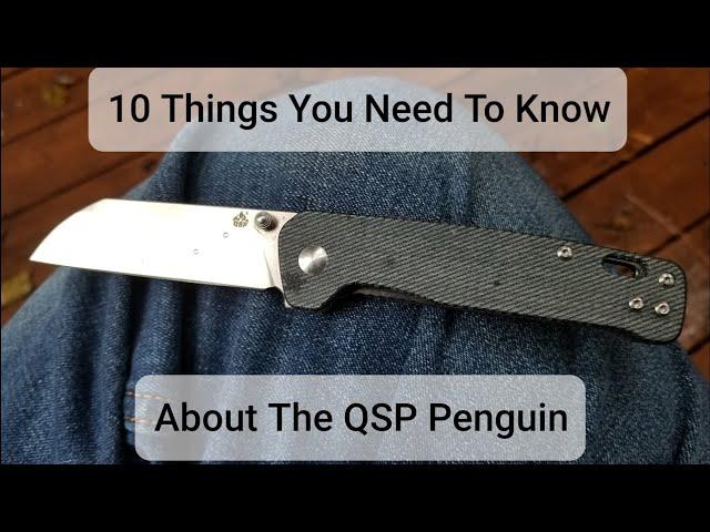 10 Things You Need To Know About The  QSP Penguin