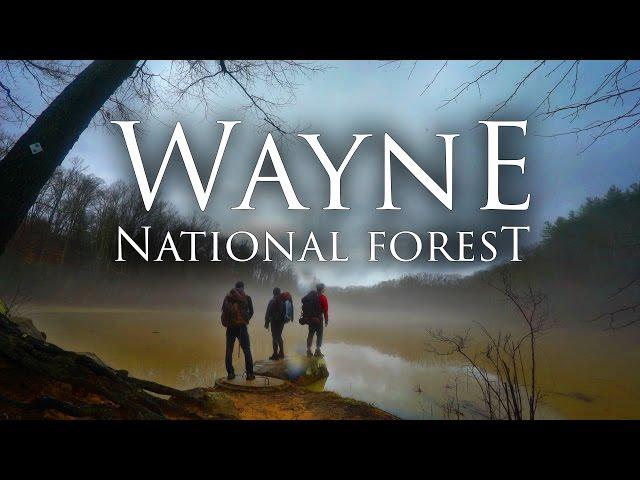 Wayne National Forest in 4K | Best Ohio Backpacking | Bushcraft, Hiking, & Camping Lake Vesuvius