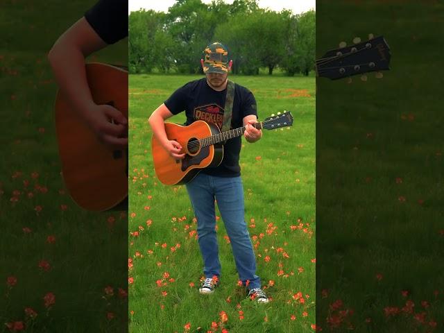 “Watch Out for Deer” - Aaron Gibson