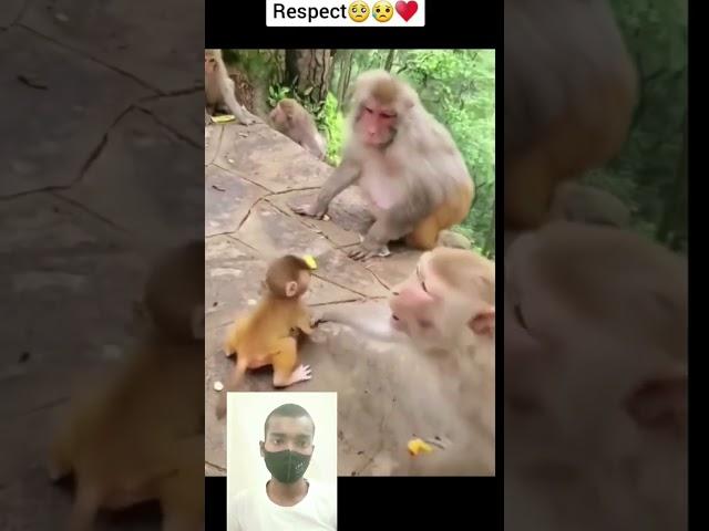 Respect  #shorts #viral #respect #trending @fun with jkj