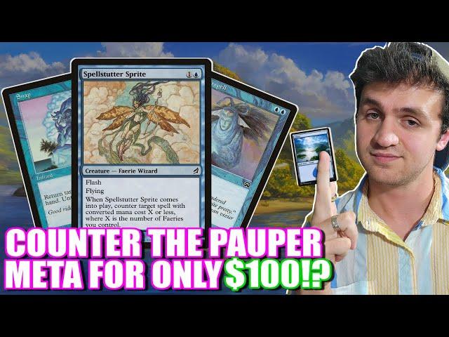 UNBOXING $100 Mono Blue Faeries For Pauper! Deck Tech for Magic: The Gathering