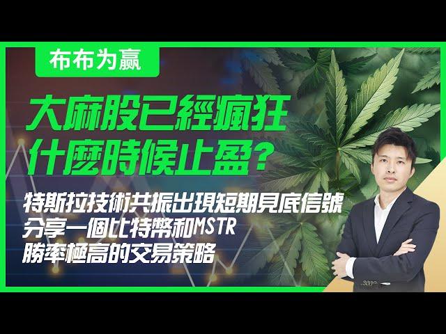 【布布为赢】大麻股已经疯狂，什么时候止盈？特斯拉技术共振出现短期见底信号；分享一个比特币和MSTR胜率极高的交易策略