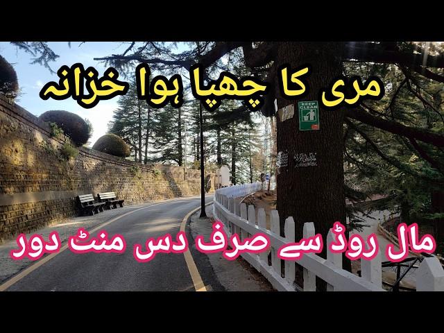 Murree live today #murree #murreeupdate Murree mall road #murreelivetoday #murree #murreemallroad