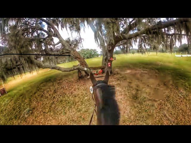 GoPro: Renkum Corsair (Open Intermediate | 2023 Rocking Horse December Horse Trials)