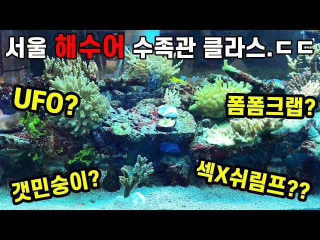 서울 유명 해수어 수족관! 네모난 수족관 방문기!