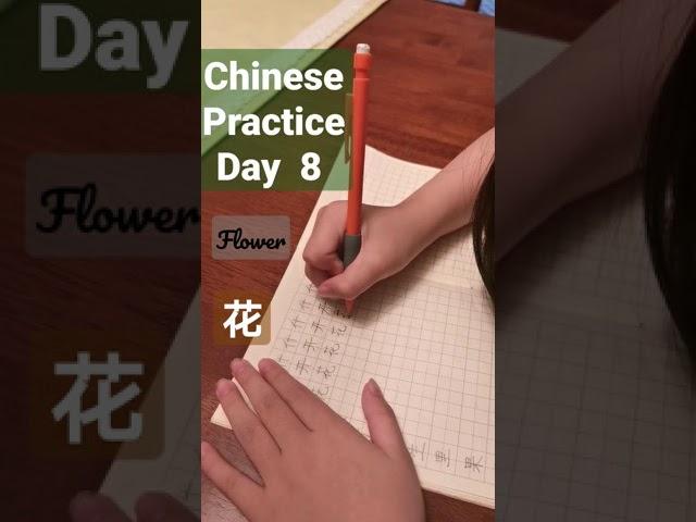 Day 8: My daughter, Elyn is six and a half years old and started to practice Chinese.