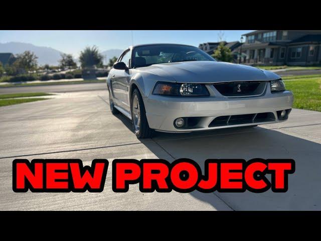 Taking Delivery of a 2001 Ford Mustang Cobra - Part 1