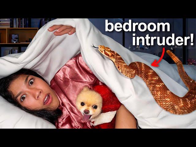 We Found a SNAKE in our HOUSE! *SHOCKING*